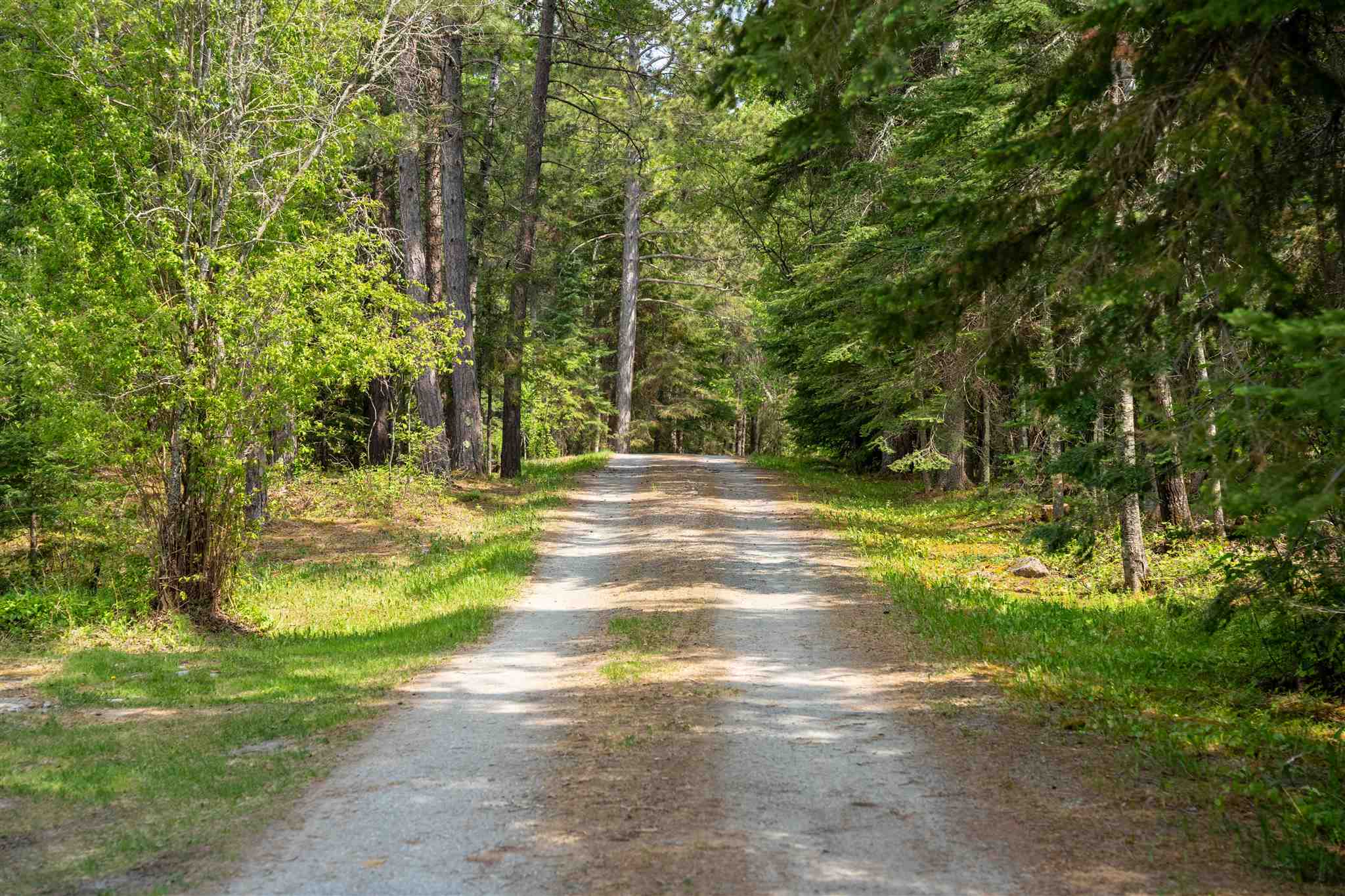 11A Lebrons Road, Sioux Narrows, Ontario, Canada photo 49
