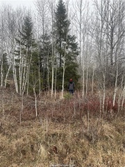 lot 4 old wanup road, Sudbury Ontario, Canada