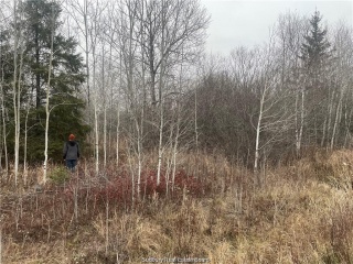 lot 4 old wanup road, Sudbury Ontario, Canada
