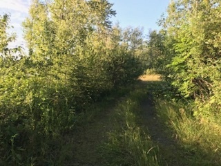 Part 1, 2 Red Lake