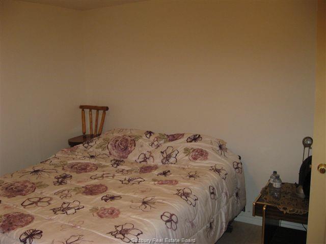 162 Clouthier Road, St. Charles Ontario, Canada