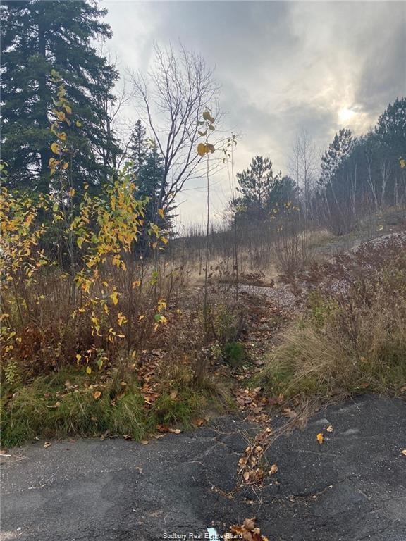 Thomas, Sudbury Ontario, Canada