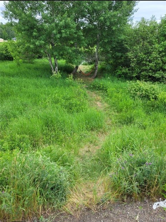 Lot 12-01 Route 148, Durham Bridge, New Brunswick, Canada