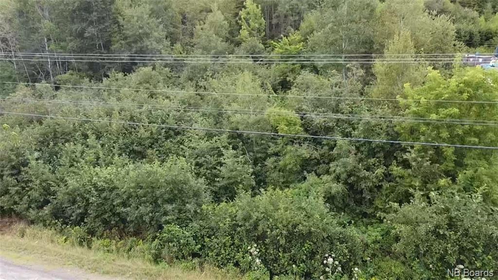Lot 12-01 Route 148, Durham Bridge, New Brunswick, Canada