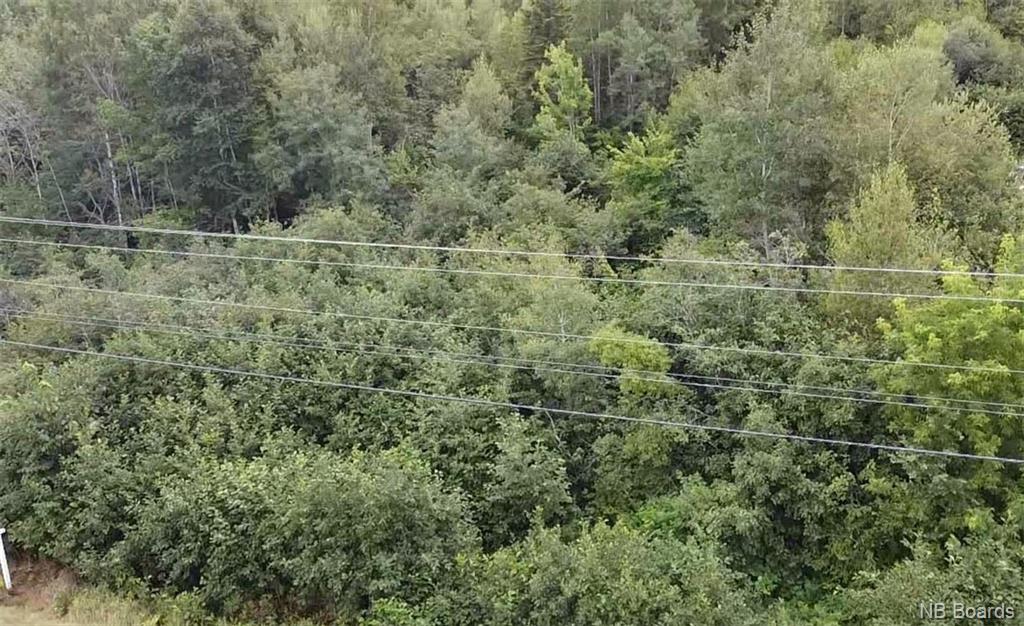 Lot 12-01 Route 148, Durham Bridge, New Brunswick, Canada