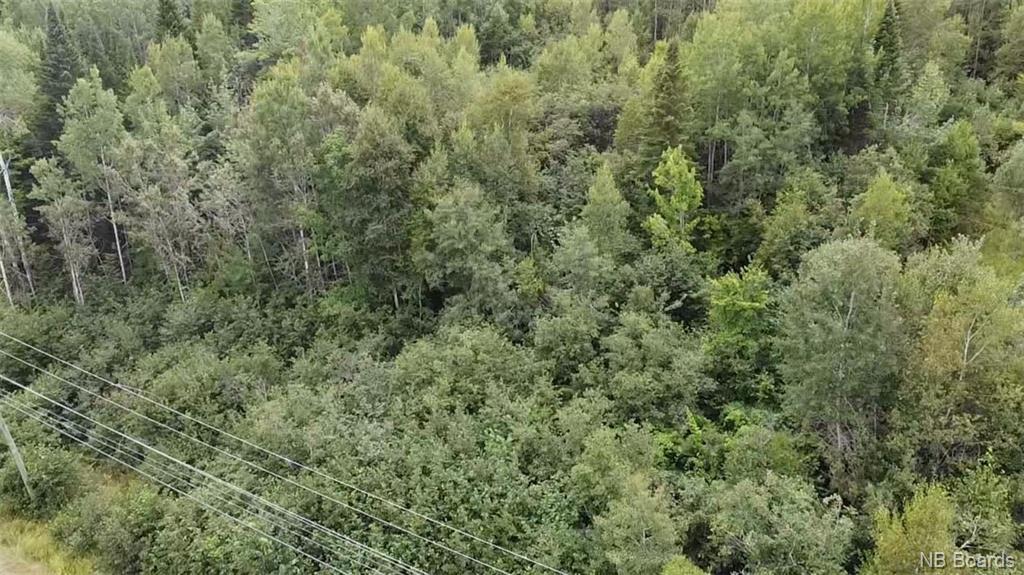 Lot 12-01 Route 148, Durham Bridge, New Brunswick, Canada