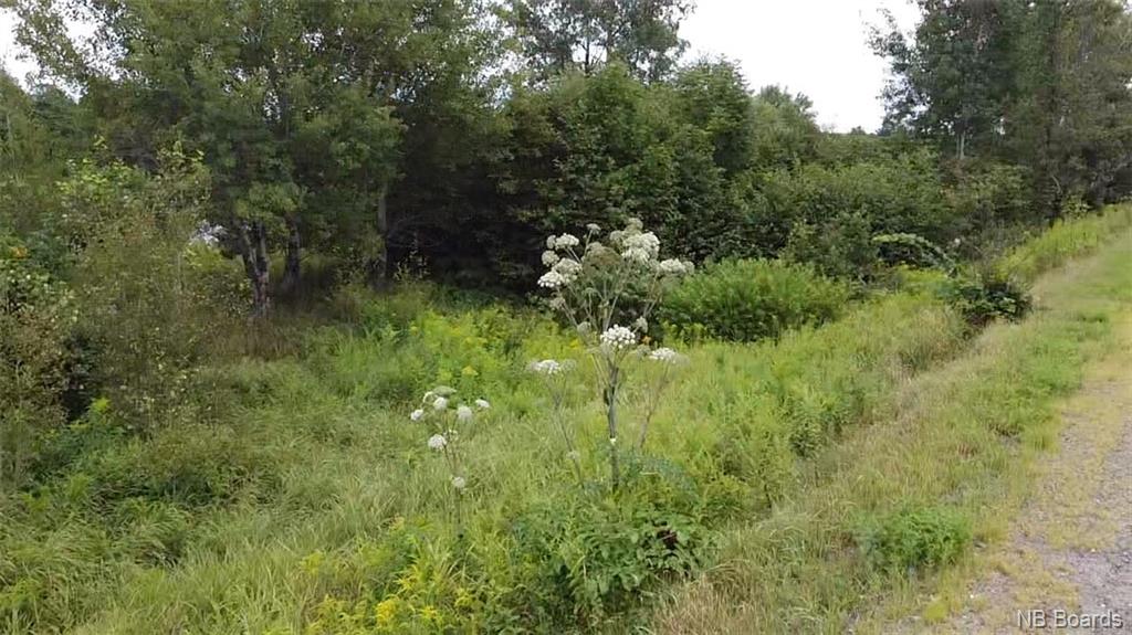 Lot 12-01 Route 148, Durham Bridge, New Brunswick, Canada