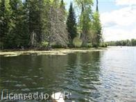 . MUSKOKA RIVER, Bracebridge, Ontario, Canada