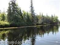 . MUSKOKA RIVER, Bracebridge, Ontario, Canada