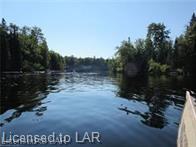 . MUSKOKA RIVER, Bracebridge, Ontario, Canada