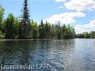 . MUSKOKA RIVER, Bracebridge, Ontario, Canada