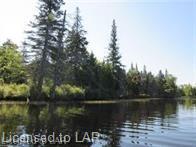 . MUSKOKA RIVER, Bracebridge, Ontario, Canada