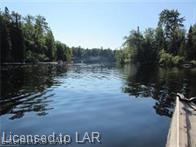 . MUSKOKA RIVER, Bracebridge, Ontario, Canada