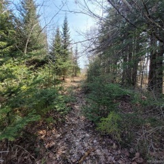 Land Lewis Road, Hoyt New Brunswick, Canada