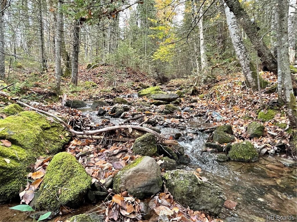 - Bloomfield Ridge South Road, Norton, New Brunswick, Canada