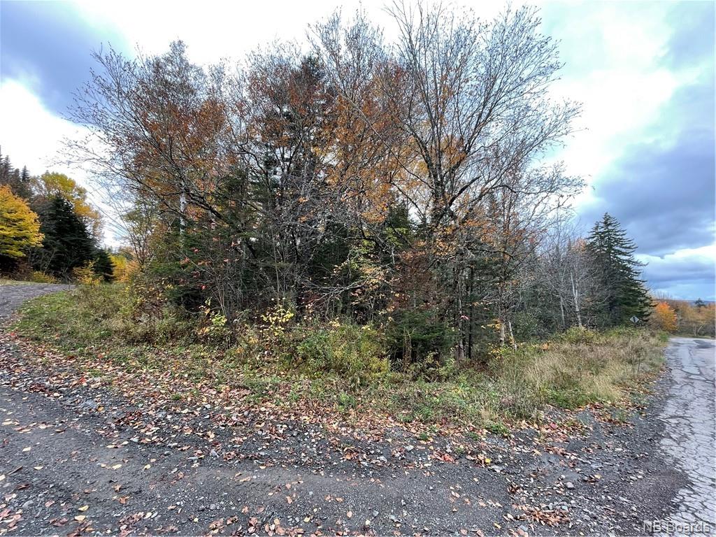 - Bloomfield Ridge South Road, Norton, New Brunswick, Canada