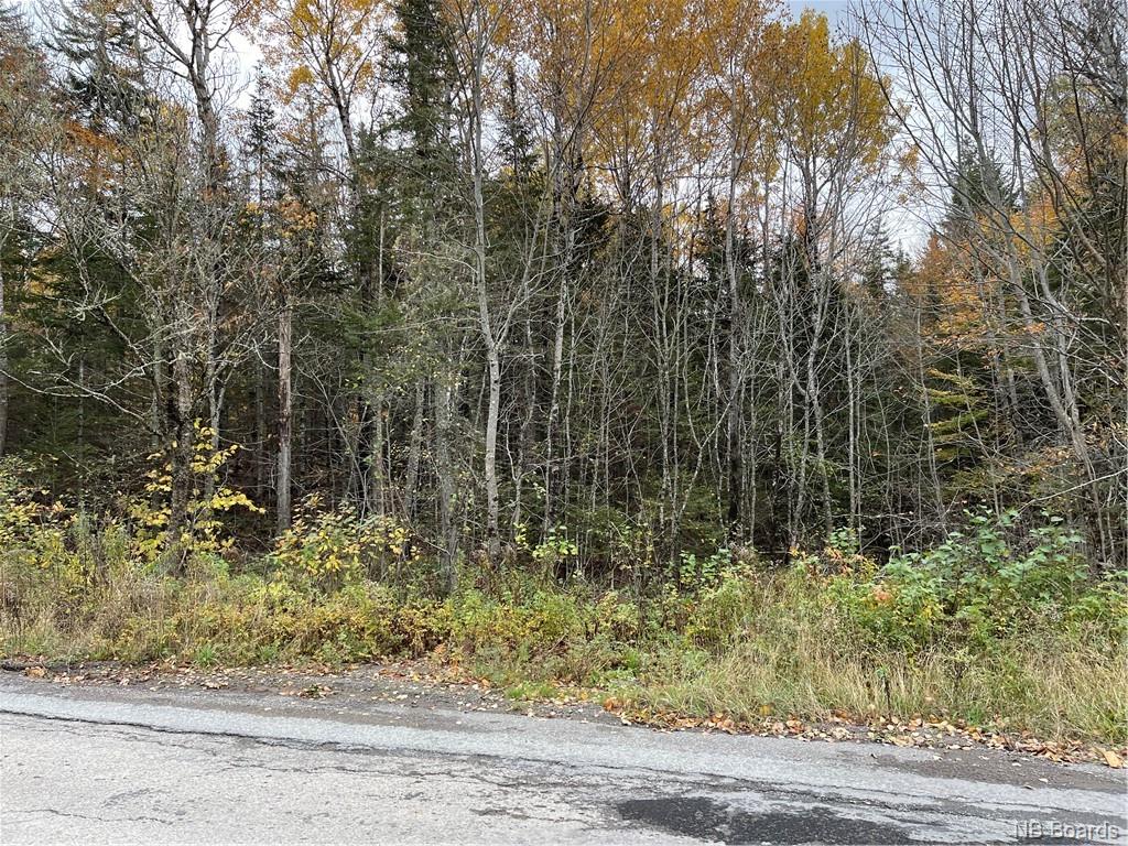 - Bloomfield Ridge South Road, Norton, New Brunswick, Canada