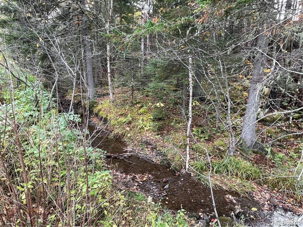 - Bloomfield Ridge South Road, Norton, New Brunswick, Canada