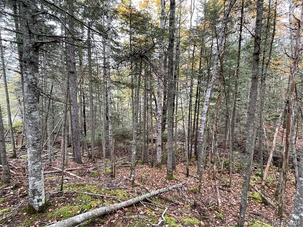 - Bloomfield Ridge South Road, Norton, New Brunswick, Canada