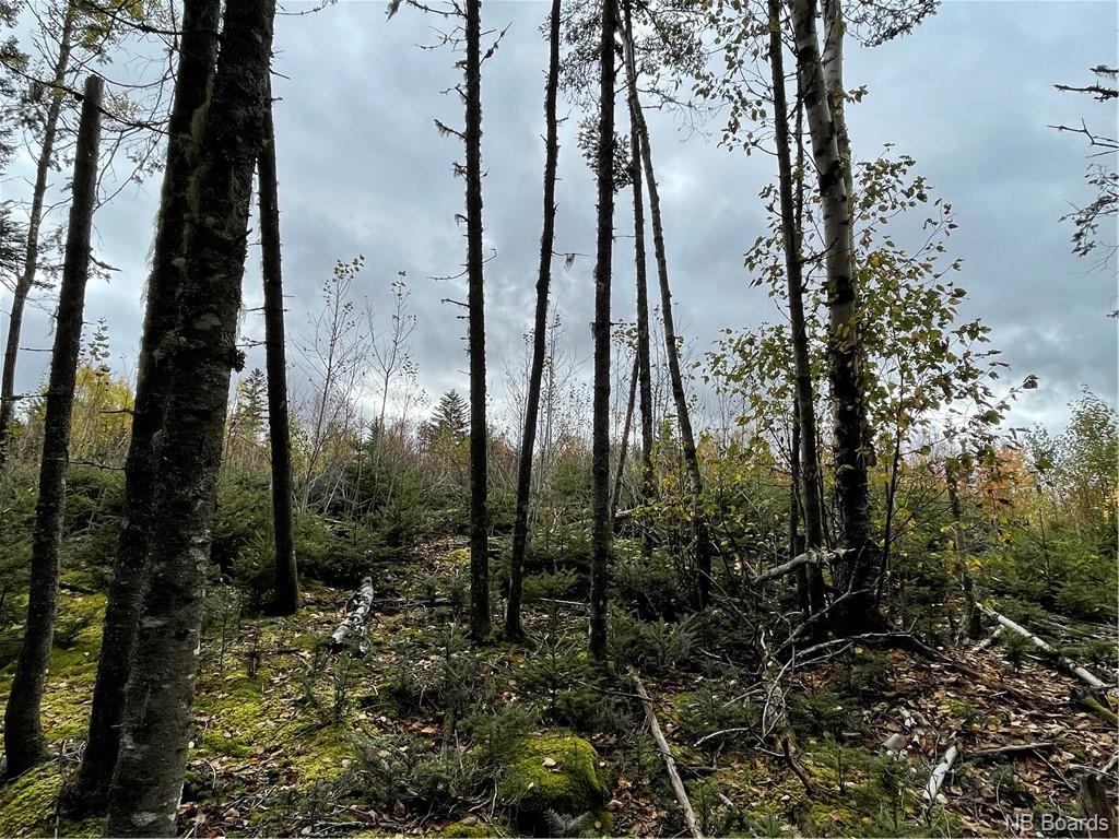- Bloomfield Ridge South Road, Norton, New Brunswick, Canada