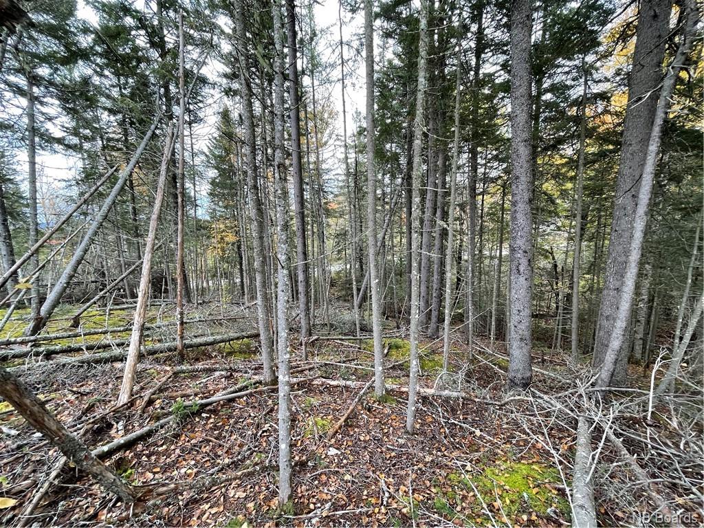 - Bloomfield Ridge South Road, Norton, New Brunswick, Canada