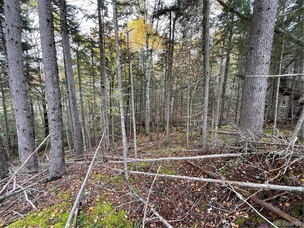 - Bloomfield Ridge South Road, Norton, New Brunswick, Canada