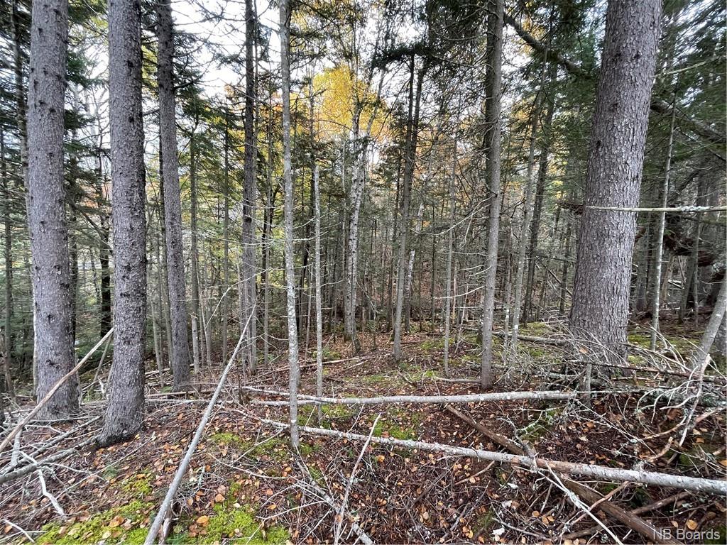 - Bloomfield Ridge South Road, Norton, New Brunswick, Canada