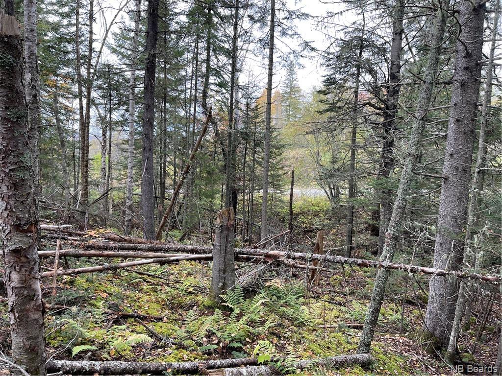 - Bloomfield Ridge South Road, Norton, New Brunswick, Canada
