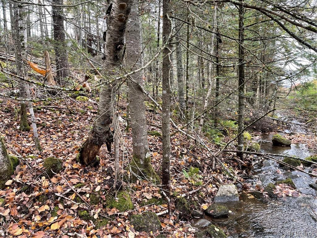- Bloomfield Ridge South Road, Norton, New Brunswick, Canada