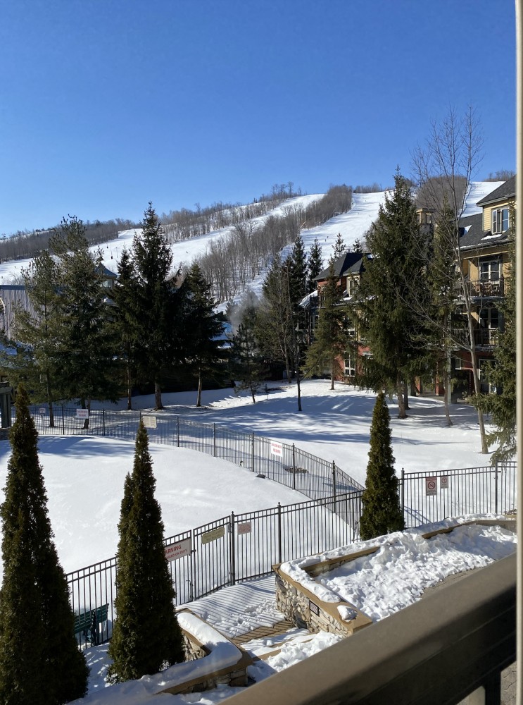 156 JOZO WEIDER Boulevard Unit #222, Town of the Blue Mountains, Ontario, Canada