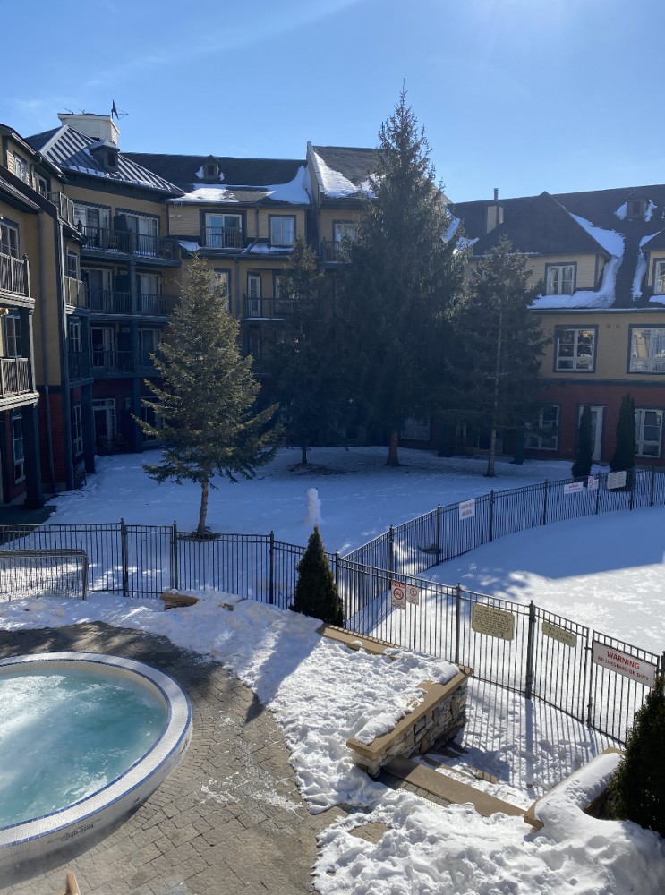 156 JOZO WEIDER Boulevard Unit #222, Town of the Blue Mountains, Ontario, Canada