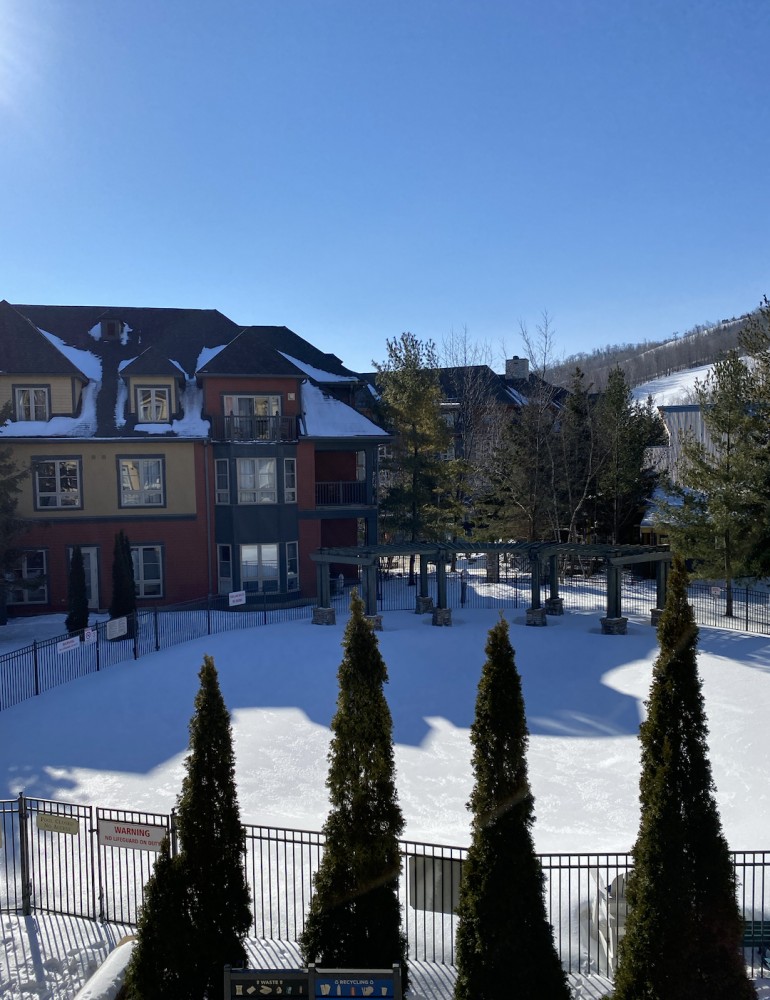 156 JOZO WEIDER Boulevard Unit #222, Town of the Blue Mountains, Ontario, Canada