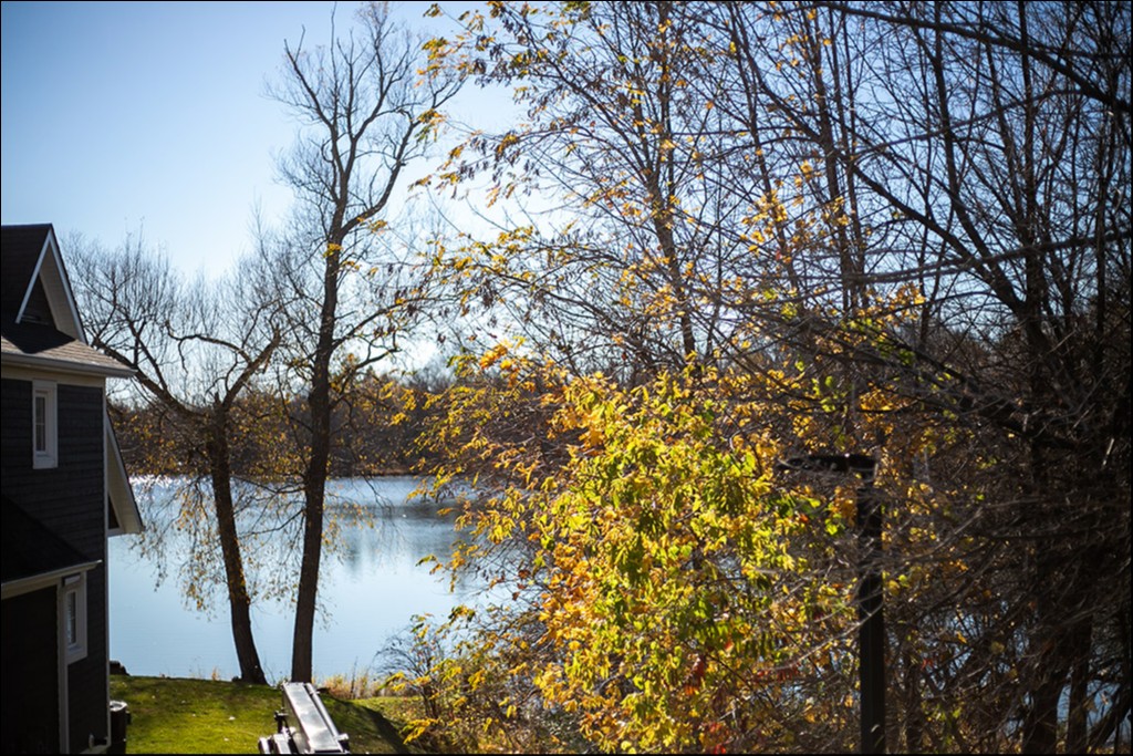 59 King Street East, Unit #1, Thornbury, Ontario, Canada