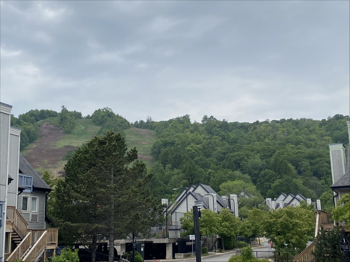 796468 Grey Road 19 Unit #603, Town of the Blue Mountains, Ontario, Canada photo 21