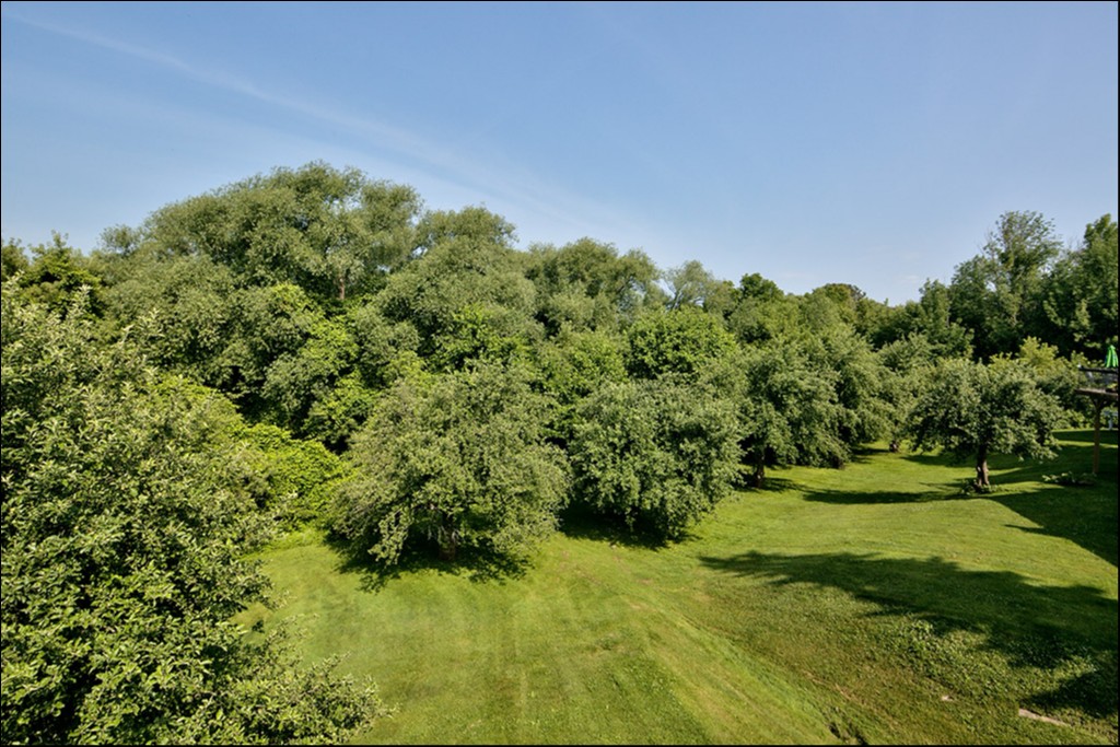 127 Alfred Street West Unit #39, Thornbury, Ontario, Canada