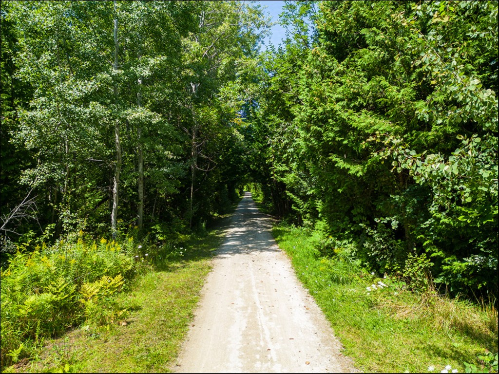 157 High Bluff Lane, Thornbury, Ontario, Canada photo 44