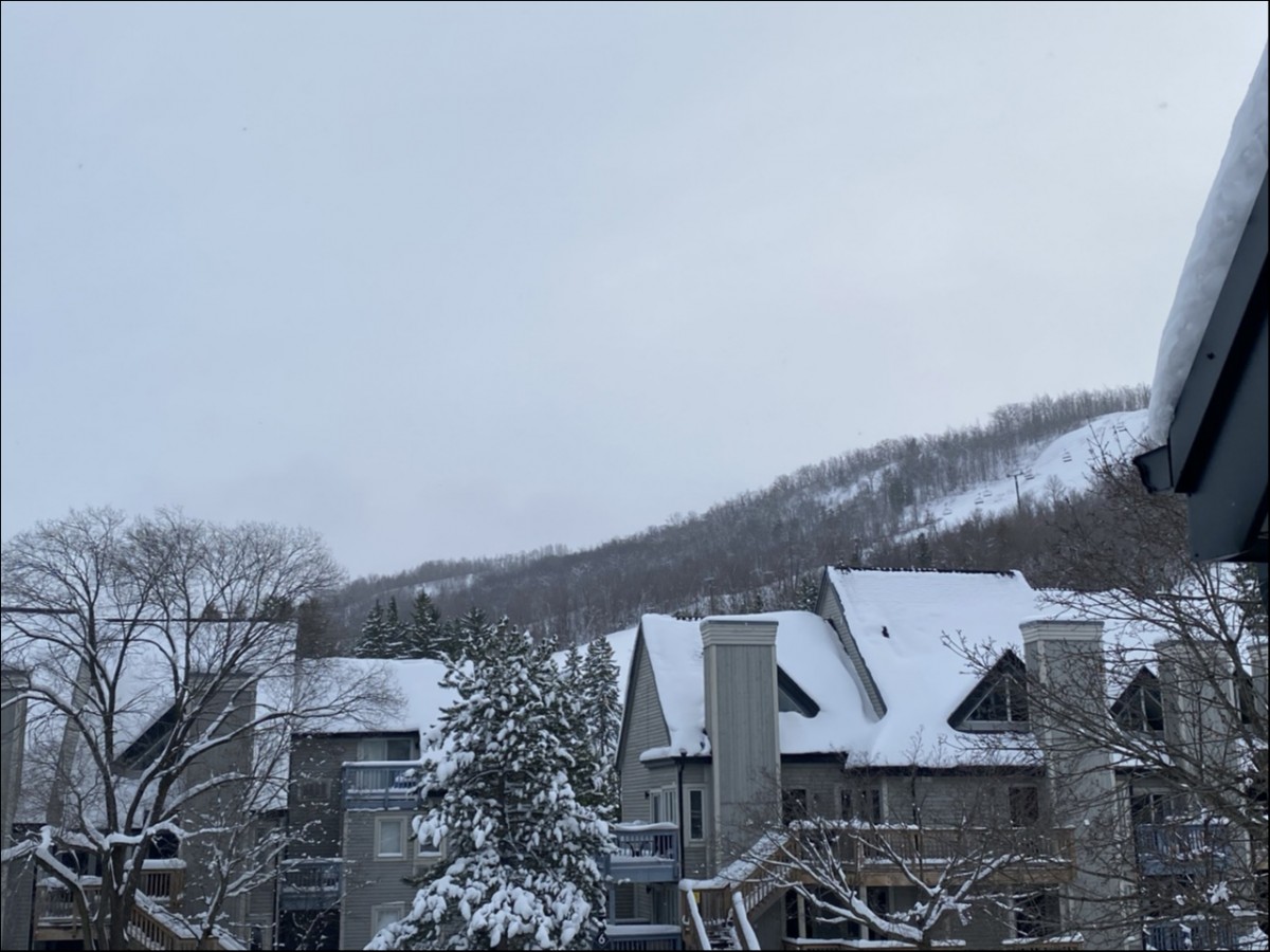 796468 GREY ROAD 19 Road Unit #516, Town of the Blue Mountains, Ontario, Canada