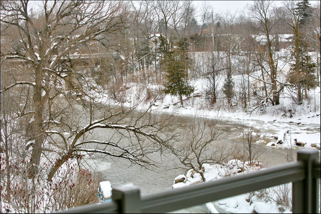 11 Bay Street East Unit 7, Thornbury, Ontario, Canada photo 53