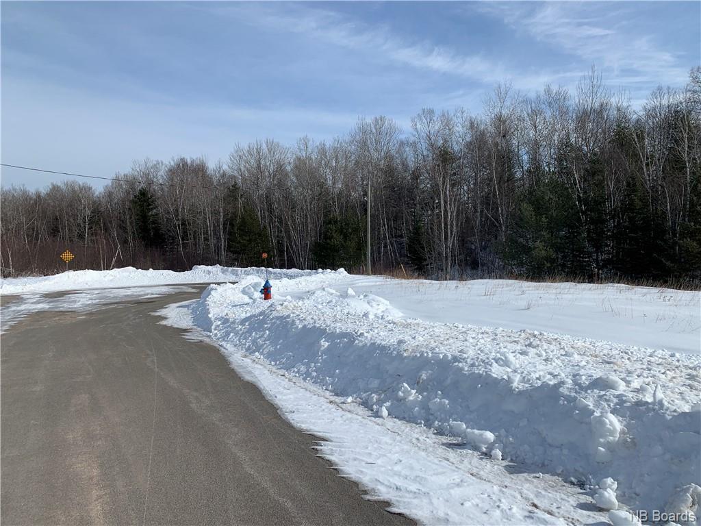 54 Malibu Street, Fredericton, New Brunswick, Canada