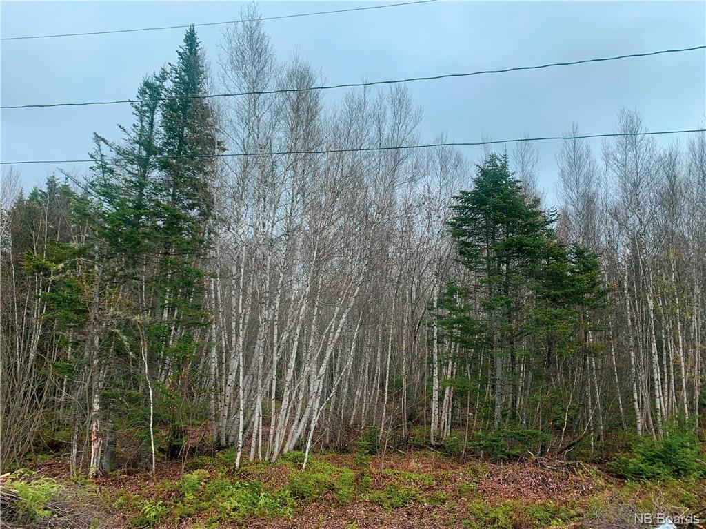 Lot 10-1 Holly Street, Maugerville New Brunswick, Canada