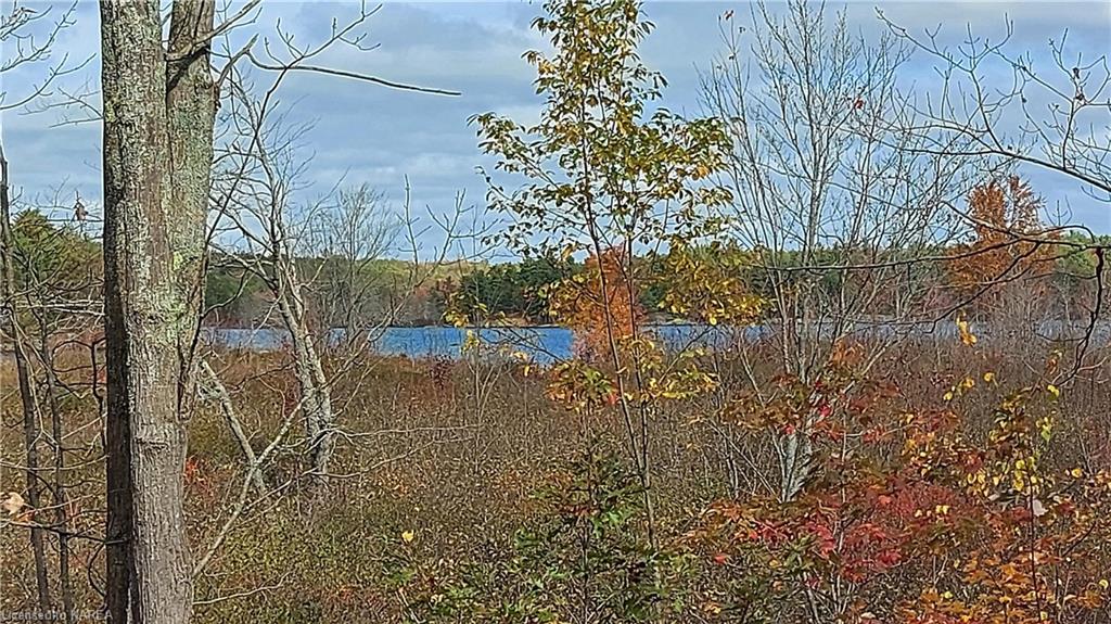 1020 GRAY ROCK Lane, Arden, Ontario, Canada