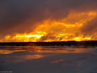 16457 HWY 35 Highway, Algonquin Highlands Ontario, Canada