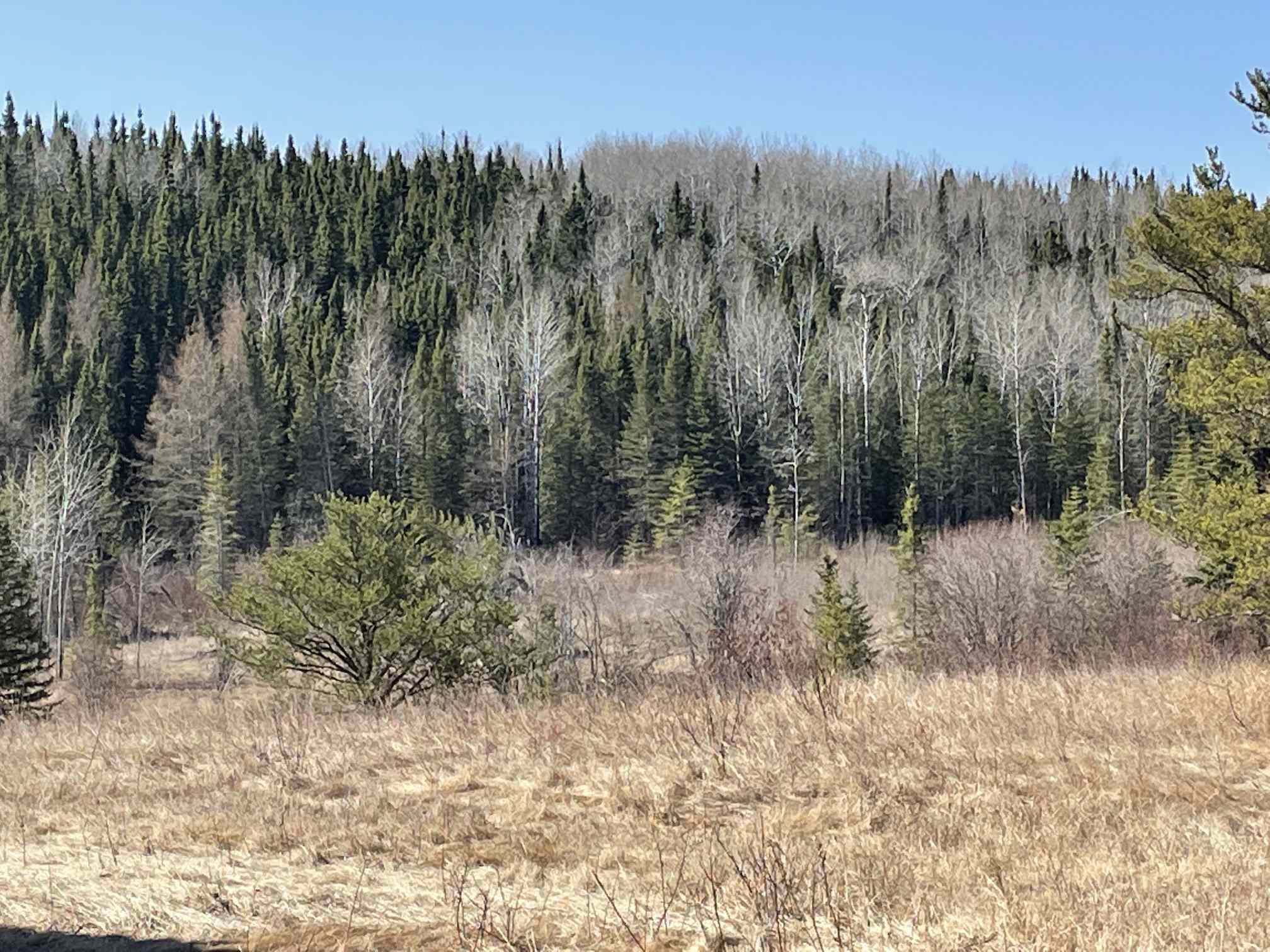 Lot 12 Con 2 Rowell Township, Dryden, Ontario, Canada