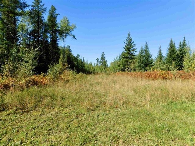 Chavall Road, Machin, Ontario, Canada photo 15