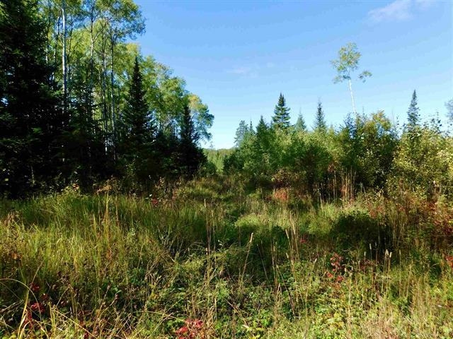 Chavall Road, Machin, Ontario, Canada photo 16