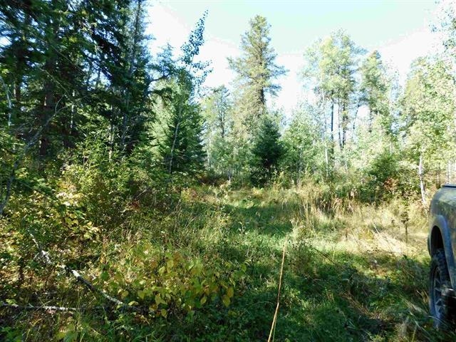 Chavall Road, Machin, Ontario, Canada photo 19