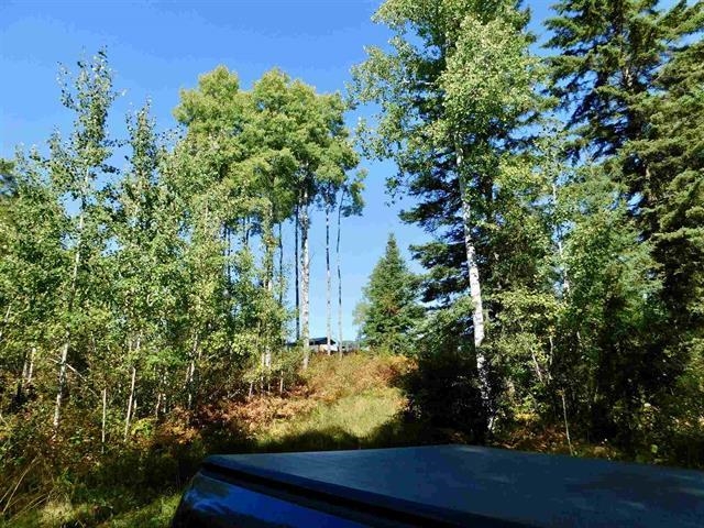 Chavall Road, Machin, Ontario, Canada photo 20