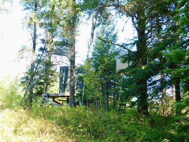 Chavall Road, Machin, Ontario, Canada photo 21