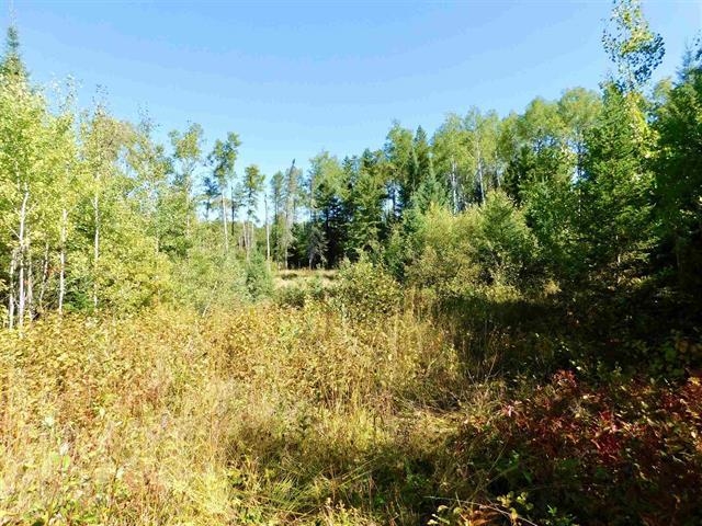 Chavall Road, Machin, Ontario, Canada photo 23