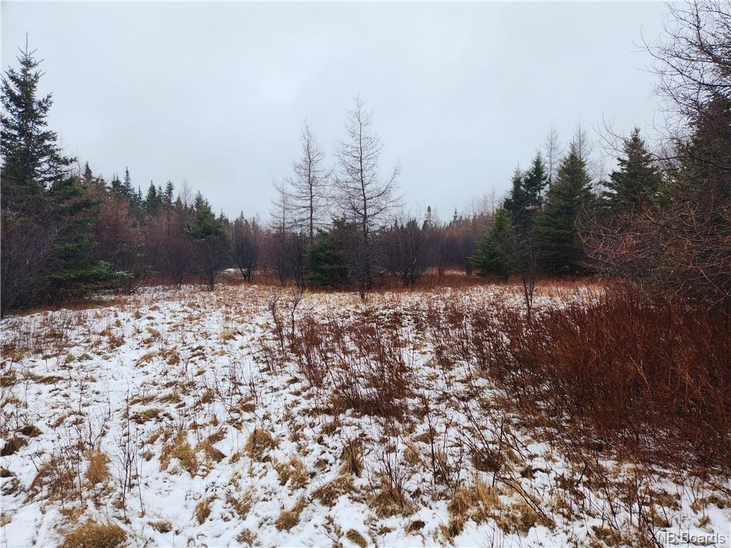 - New Line Road, West Quaco, New Brunswick, Canada